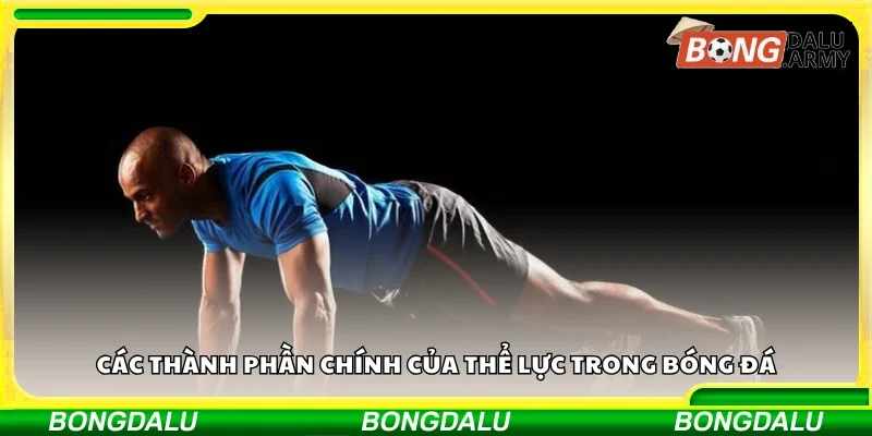 Các thành phần chính của thể lực trong bóng đá
