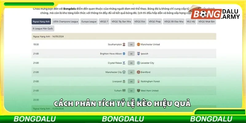 Cách phân tích tỷ lệ kèo hiệu quả