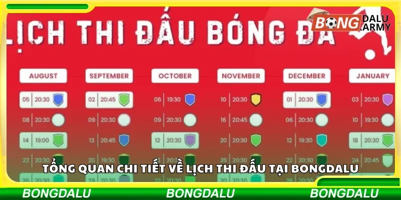 Tổng quan chi tiết về lịch thi đấu tại Bongdalu