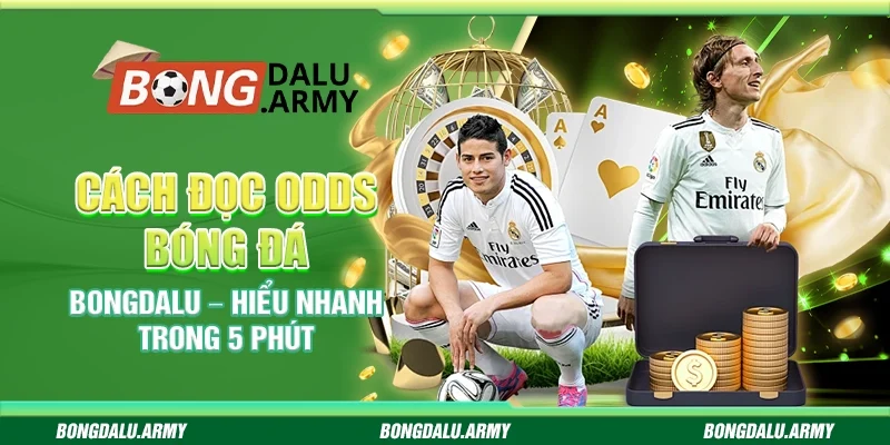 Cách đọc odds bóng đá Bongdalu – Hiểu nhanh trong 5 phút