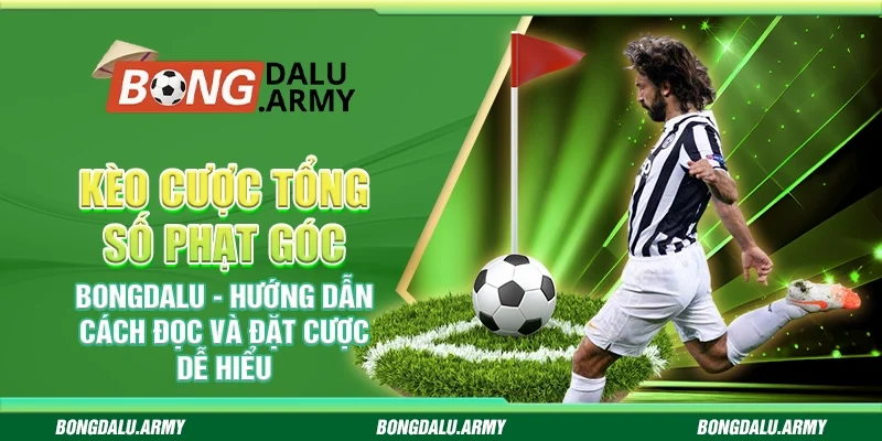 Kèo cược tổng số phạt góc Bongdalu - Hướng dẫn cách đọc và đặt cược dễ hiểu