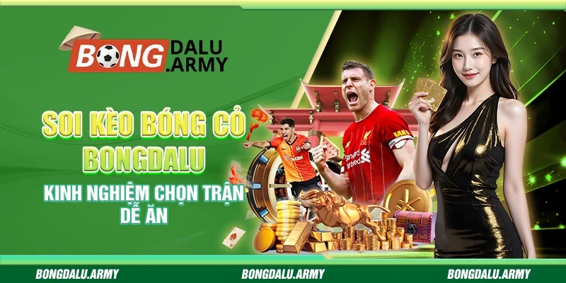 Soi kèo bóng cỏ Bongdalu - Kinh nghiệm chọn trận dễ ăn