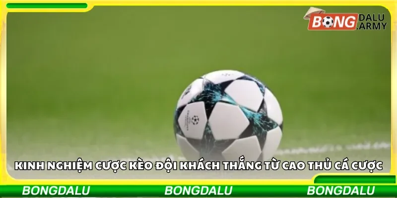 Kinh nghiệm cược kèo đội khách thắng từ cao thủ cá cược