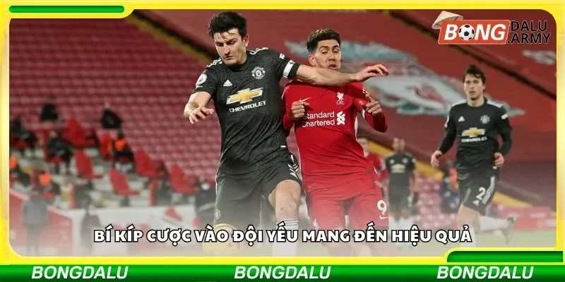Bí kíp cược vào đội yếu mang đến hiệu quả