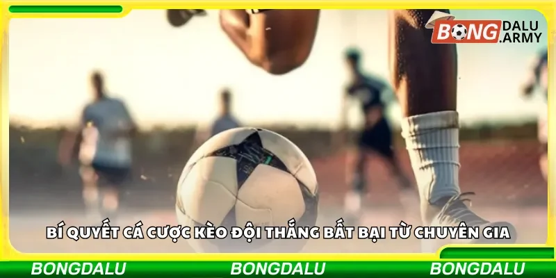 Bí quyết cá cược kèo đội thắng bất bại từ chuyên gia