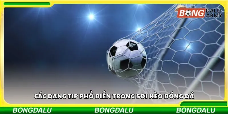 Các dạng tip phổ biến trong soi kèo bóng đá