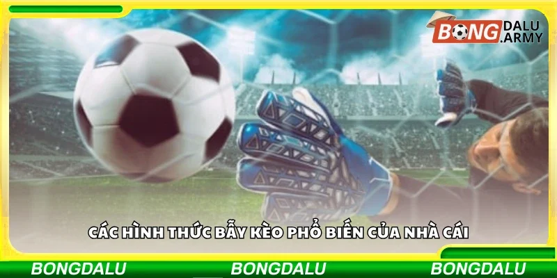 Các hình thức bẫy kèo phổ biến của nhà cái