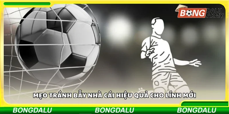 Các mẹo tránh bẫy nhà cái hiệu quả cho lính mới