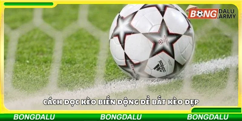 Cách đọc kèo biến động để bắt kèo đẹp