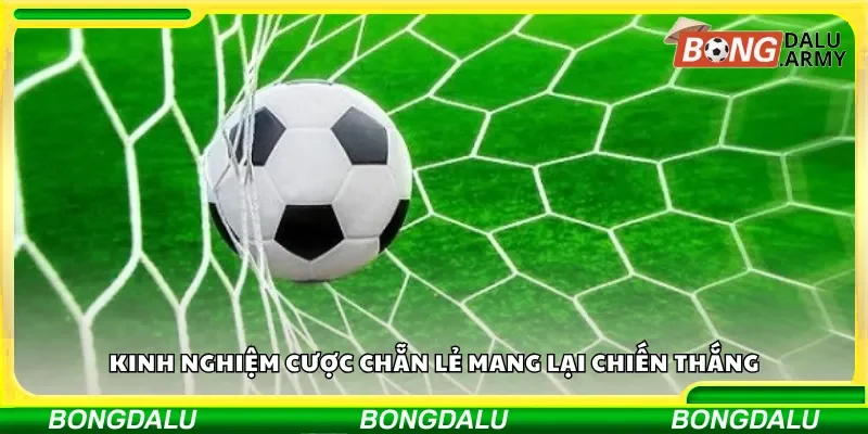 kinh nghiệm cược chẵn lẻ mang lại chiến thắng
