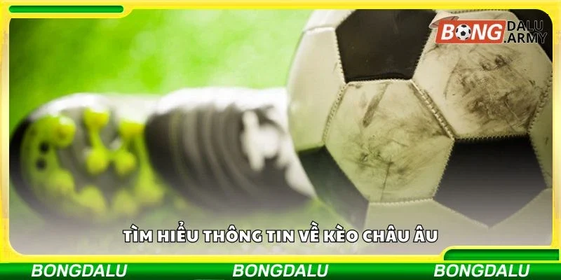 Tìm hiểu thông tin về kèo châu âu