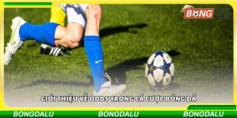 Tìm hiểu về odds trong cá cược bóng đá