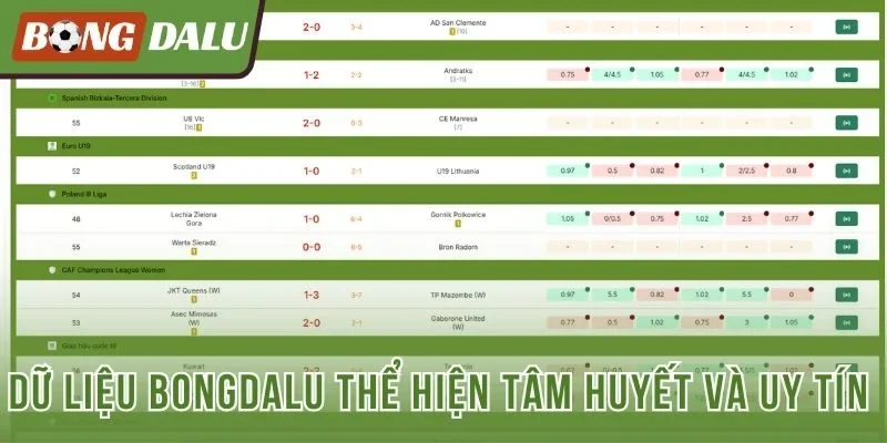 Dữ liệu Bongdalu thể hiện tâm huyết và uy tín 